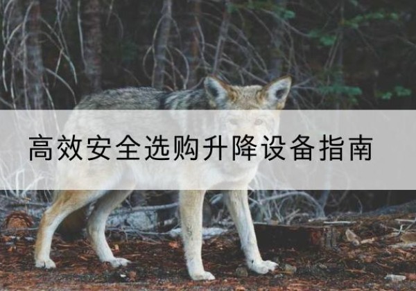恩施升降货梯厂家推荐-*安全选购升降设备指南