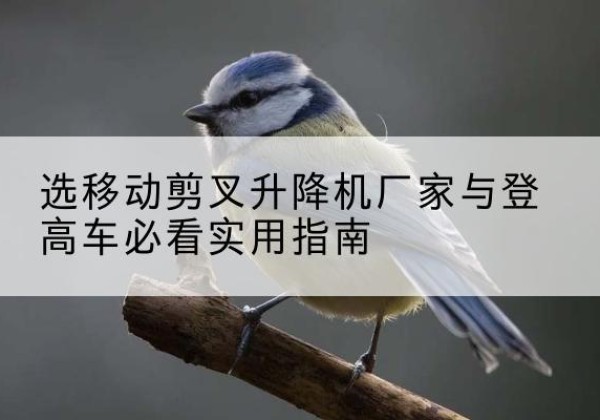 恩施电动升降机厂家-选移动剪叉升降机厂家与登高车必看实用指南