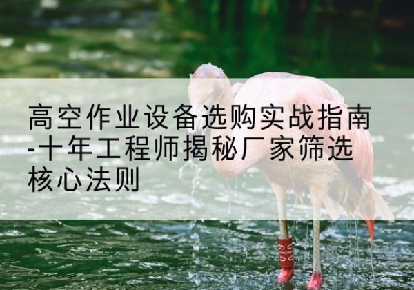 恩施剪叉式升降机厂家-高空作业设备选购实战指南-十年工程师揭秘厂家筛选核心法则